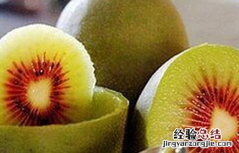 红心猕猴桃怎么种植出来的 红心猕猴桃该怎么种