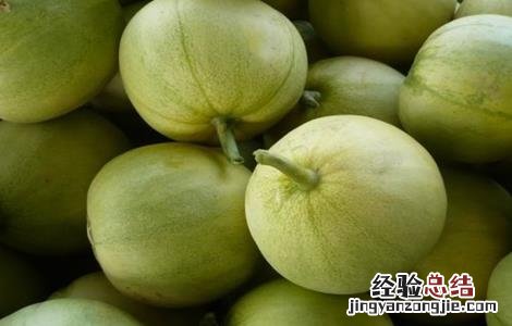甜瓜裂瓜的原因及防治 甜瓜裂瓜怎么防治