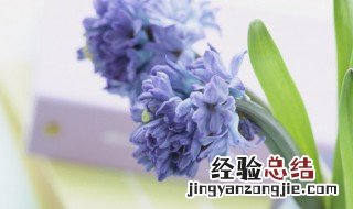 甜甜的早安语给男朋友 甜甜的早安语