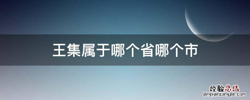王集属于哪个省哪个市 王集在哪个位置
