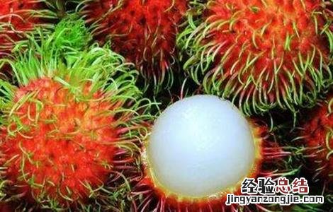 红毛丹种植方法介绍 红毛丹的种植方法