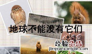 保护野生动物的宣传标语 保护野生动物的宣传标语有哪些