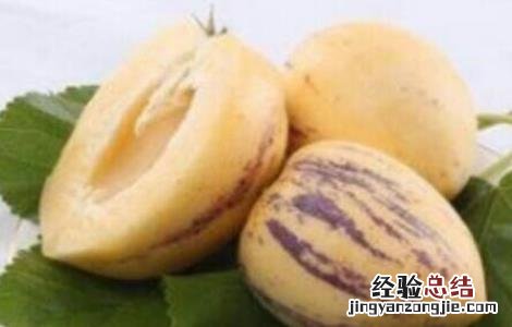 人参果的种植技术要点 人参果的种植技术