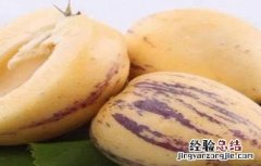 人参果的种植技术要点 人参果的种植技术