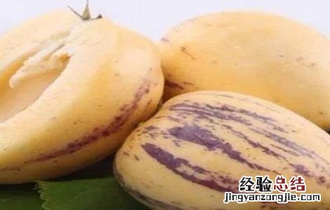 人参果的种植技术要点 人参果的种植技术