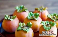 柿子树的施肥技术 柿子树的施肥技术要点