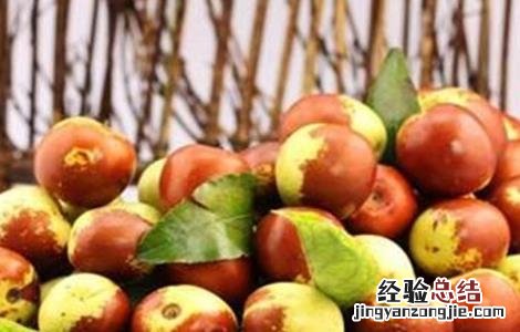 冬枣的病虫害防治 冬枣的病虫害防治技术