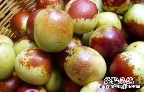冬枣的病虫害防治 冬枣的病虫害防治技术