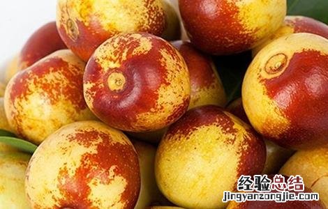 种植冬枣所需要的环境 种植冬枣所需要的环境是什么
