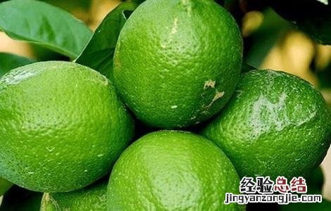 柠檬增产的方法 柠檬高产栽培技术