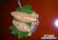 紫葛根泡水喝的七大功效 紫葛根泡水喝的七大功效与作用