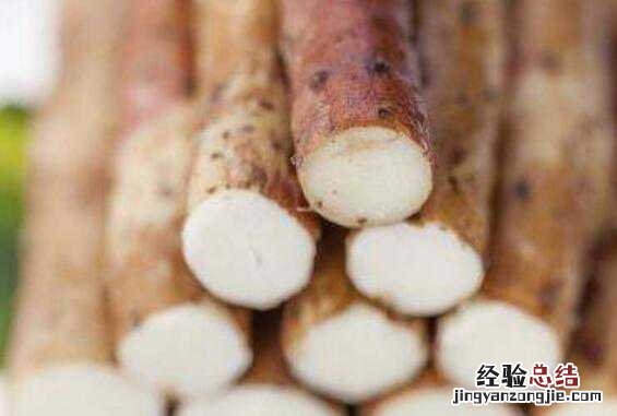 葛根山药泡水喝的作用与功效与禁忌 葛根山药泡水喝的作用与功效