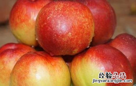 油桃裂果的原因 油桃裂果是什么原因?有哪些防治措施?