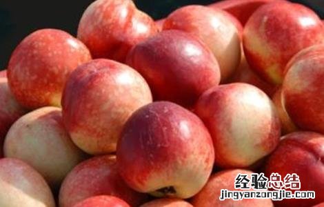 油桃裂果的原因 油桃裂果是什么原因?有哪些防治措施?