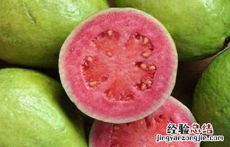 番石榴的种植方法 番石榴种植方法视频