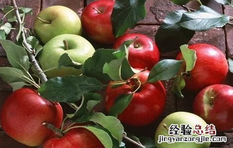 苹果套袋注意七要点 苹果套袋后的注意事项