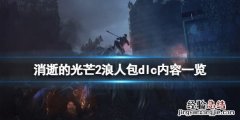 消逝的光芒2浪人包内容有什么 消逝的光芒大包