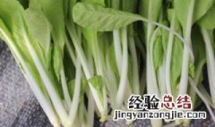 种的白菜烂叶怎么办 白菜卷叶死苗怎么办