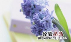 最经典的祝福语图片 最经典的祝福语