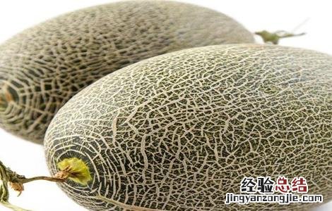哈密瓜品种名称 哈密瓜的常见品种