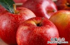 果农苹果园管理的误区 果农苹果园管理的误区分析
