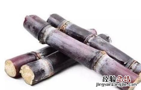 甘蔗种植条件和区域 甘蔗种植的条件