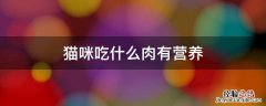 猫咪吃什么肉有营养 猫咪吃什么肉最有营养