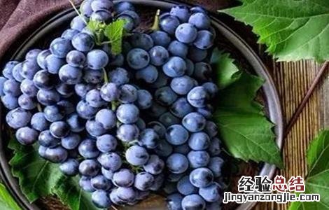 葡萄膨大处理好吗图片 葡萄膨大处理好吗