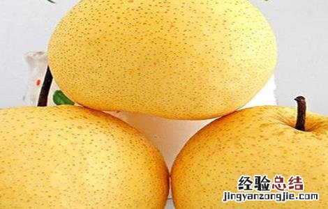 梨子的常见品种 梨子的常见品种及图片