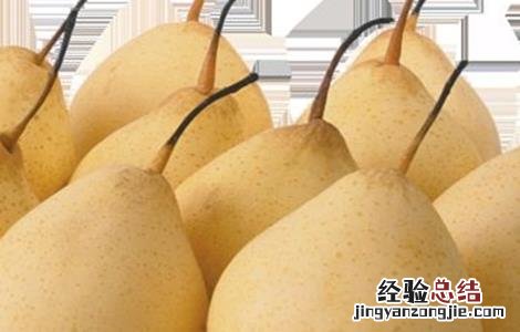 梨子的常见品种 梨子的常见品种及图片