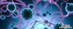 什么是多细胞生物治疗 什么是多细胞生物