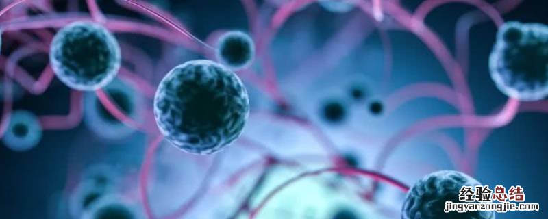 什么是多细胞生物治疗 什么是多细胞生物