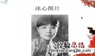 冰心简介是什么 冰心的简介是什么