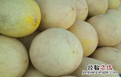 哈密瓜苗期病害 哈密瓜死苗是怎么回事