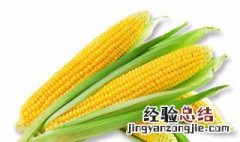玉米的卡路里是多少 玉米代替主食会发胖吗