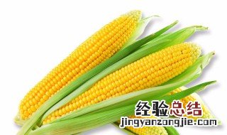 玉米的卡路里是多少 玉米代替主食会发胖吗