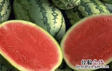 西瓜常见品种 西瓜常见品种有哪些