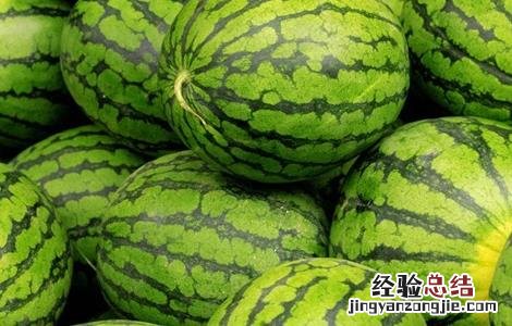 西瓜常见品种 西瓜常见品种有哪些