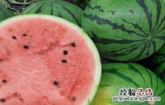 西瓜常见品种 西瓜常见品种有哪些