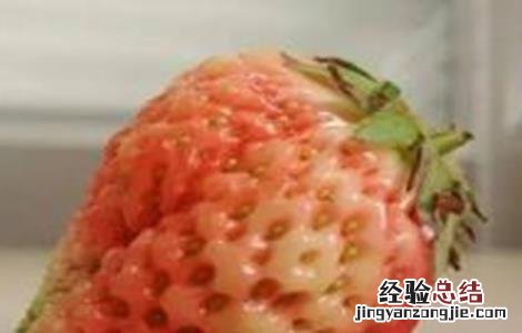 草莓着色不好怎么办 草莓着色不佳的原因和解决方法