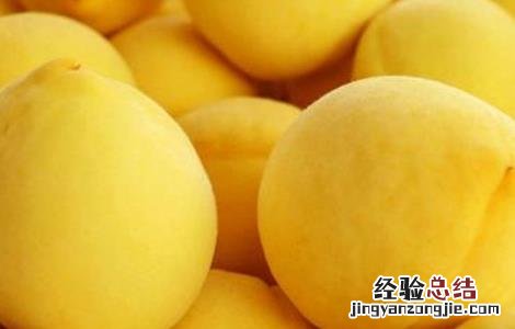 黄桃的种植方法 黄桃种植注意事项