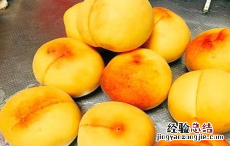黄桃的种植方法 黄桃种植注意事项