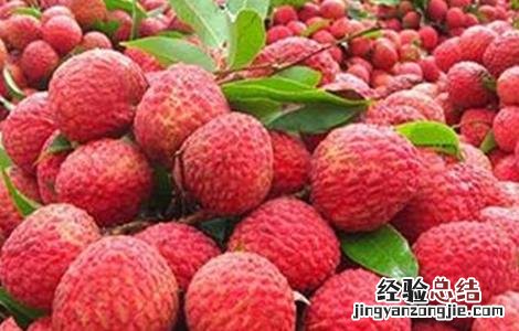 荔枝常见病虫害及防治方法 荔枝常见病虫害及防治