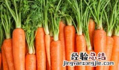 胡萝卜煲驴肉汤功效 胡萝卜炖驴肉步骤