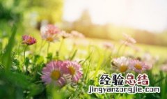 形容一天很美好的句子 形容一天非常美好的句子