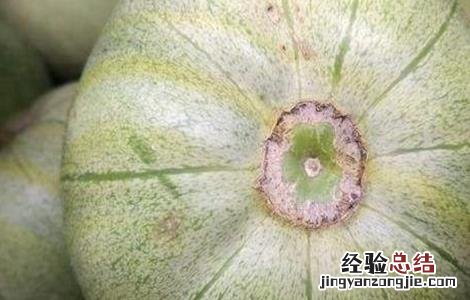 香瓜不甜怎么办 香瓜不甜怎么办?
