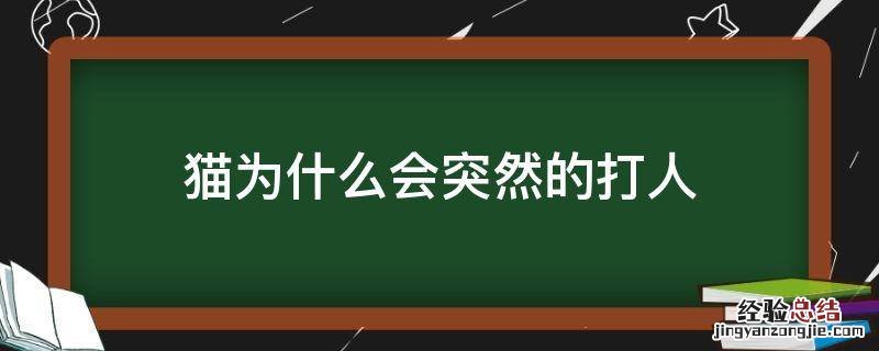 猫为什么会莫名其妙打人 猫为什么会突然的打人