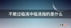 不敢过临洮中临洮指的是什么 不敢过临洮中的临洮指的是什么