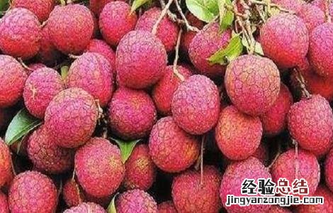 如何提高荔枝的产量和产量 如何提高荔枝的产量