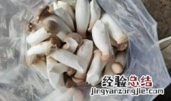 杏鲍菇能放保鲜吗 鲜杏鲍菇怎么保鲜存放